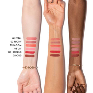 Dior Forever Blush Soft Filter - Flüssiges, geschlagenes Rouge - Leuchtendes mattes Finish Dior Forever Blush Soft Filter - Flüssiges, geschlagenes Rouge - Leuchtendes mattes Finish